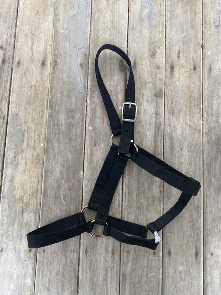 Basic Web Halter - Full