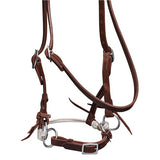 Fort Worth Bitless Bridle