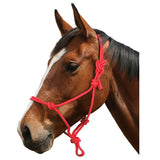 Flair Rope Halters