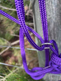 Parelli-Style Halter & Lead Set