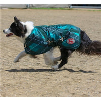 Thermo Master Supreme Dog Coat - Emerald Diamond