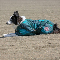 Thermo Master Supreme Dog Coat - Emerald Diamond