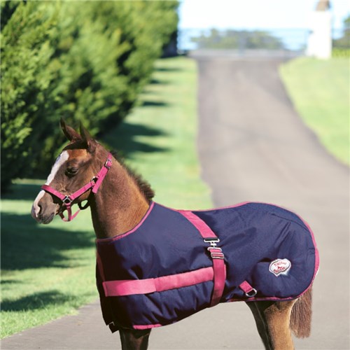 Thermo Master 600D Growing Foal Rug - Navy/Pink