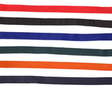 Blue Tag Web Halter