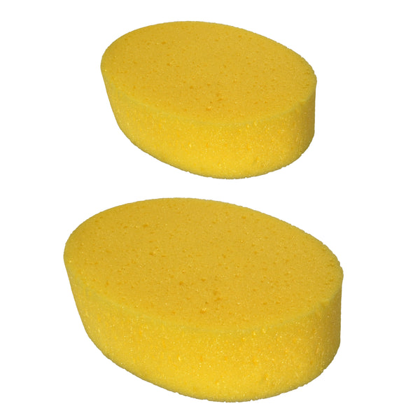 Yellow Oval Sponge