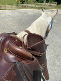 Ord River Rifle Holster/Scabbard