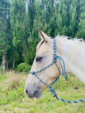 Fort Worth Rope Halter With Lead Chocolate/Turquoise