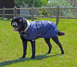 Cavallino Sherwood Dog Coat - Navy