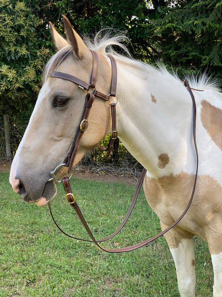 Extended head double barcoo stock bridle edge stitched