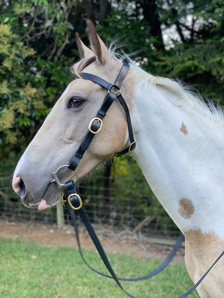 Platinum Barcoo Stock Bridle